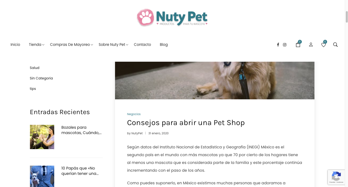 diseño web guadalajara nuty pet 3